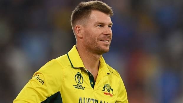 David Warner Pleads Guilty to Driving Charge
